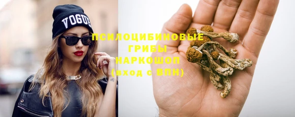 прущая мука Михайловск